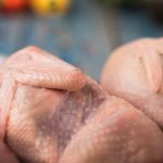 Apa Itu Ayam Dara Ketahui Perbezaan Ayam Dara Vs Ayam Biasa