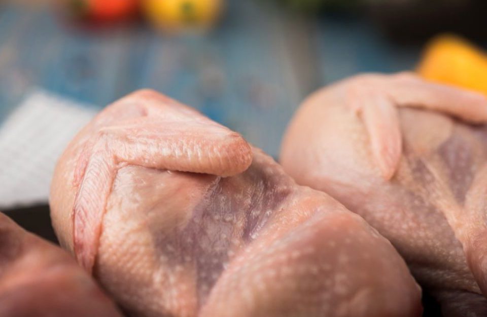 Apa Itu Ayam Dara Ketahui Perbezaan Ayam Dara Vs Ayam Biasa